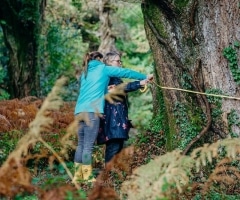 Boconnoc-Ancient-Trees-145