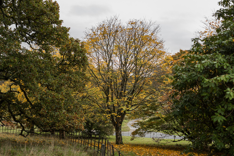 AUTUMN_BOC-6