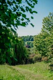 May-at-Boconnoc-103