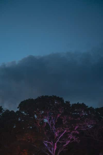 Paradhis_2024_Sat_Matthew-Hawkey_004-198