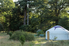 Boconnoc-34-1