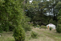 Boconnoc-59