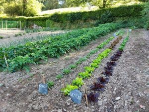 Kitchen Garden at Boconnoc