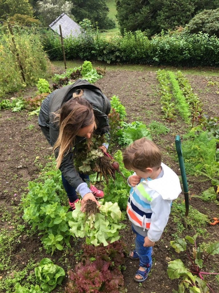 Collecting veg from the Kitchen Garden