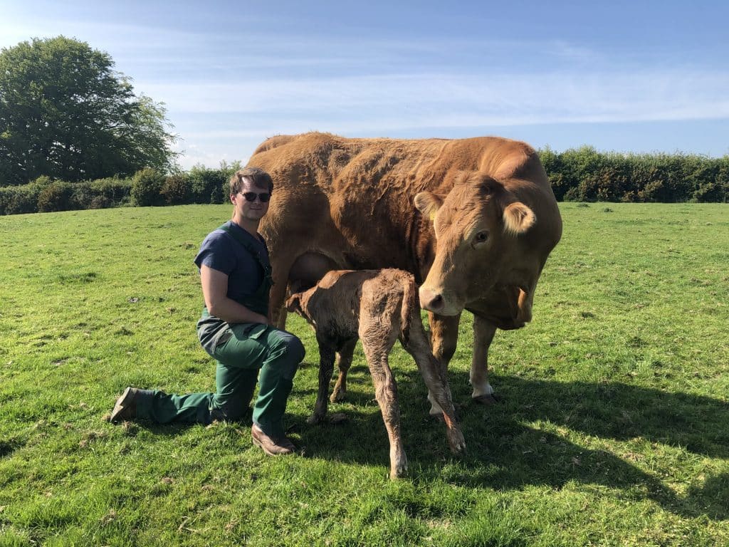 Trefrawl Farm