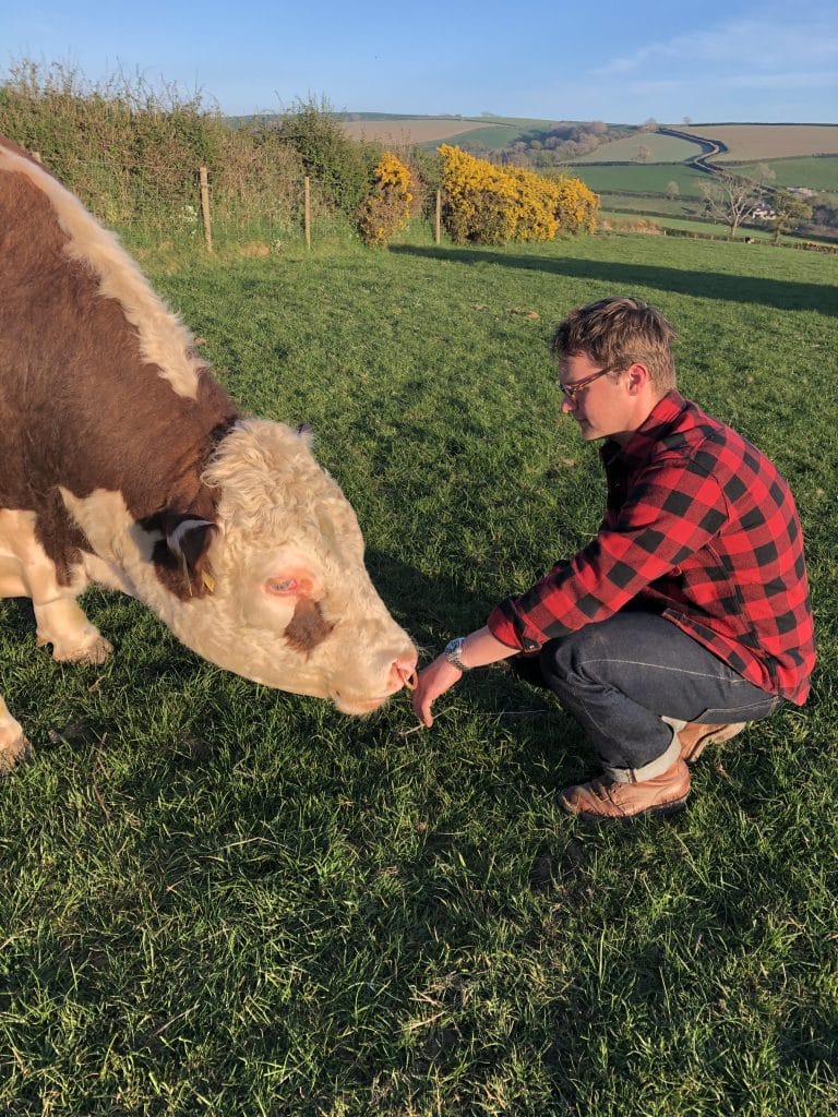 Trefrawl Farm