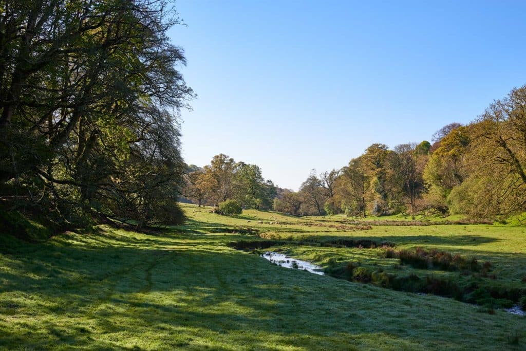 Views at Boconnoc
