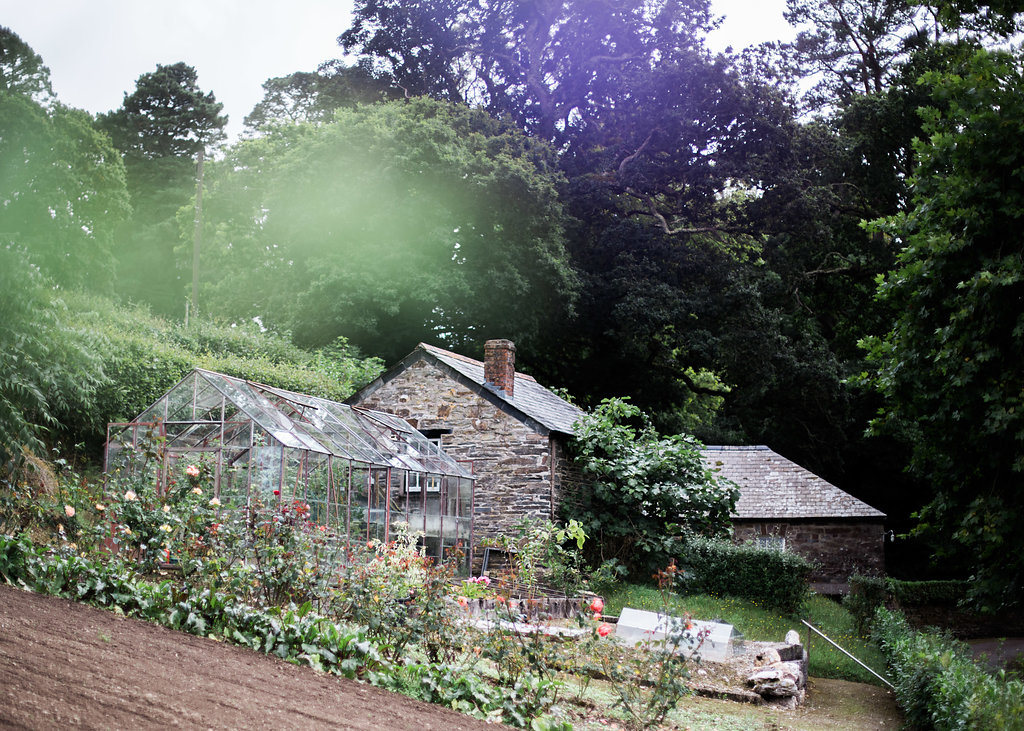 Kitchen Garden