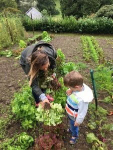 Picking produce