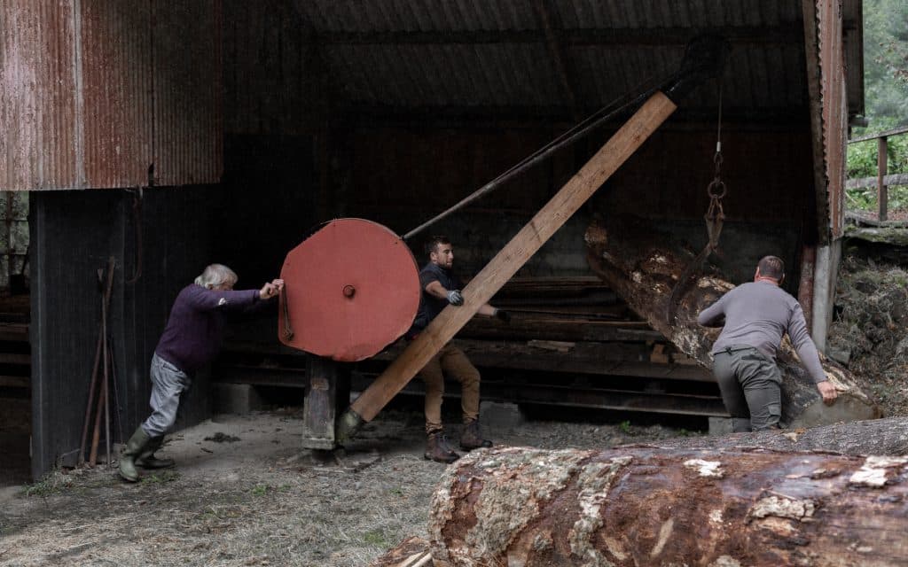 Saw Mill at Boconnoc