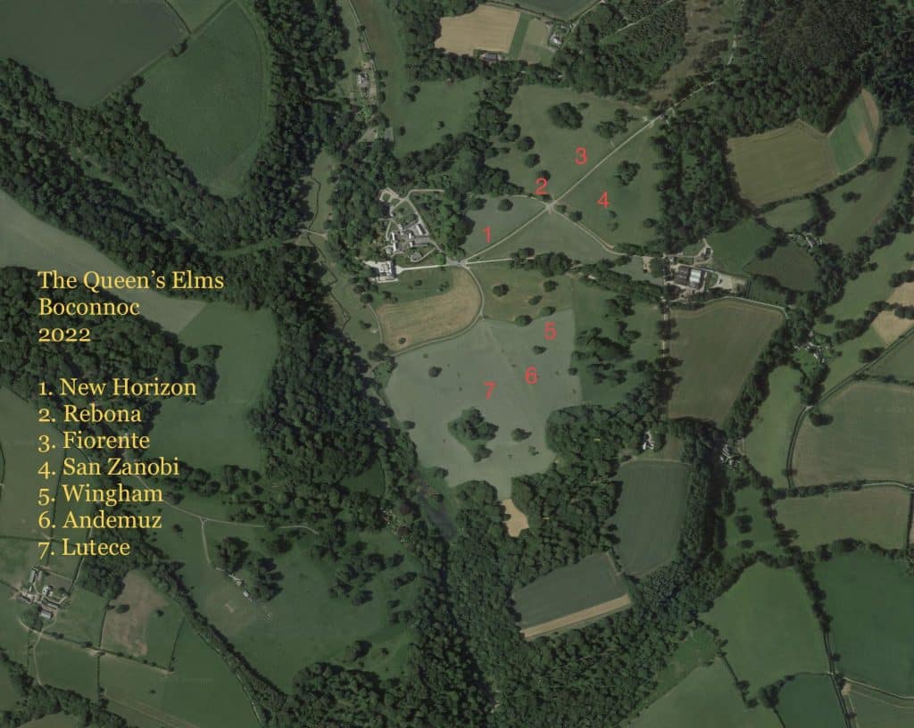 Elm planting map
