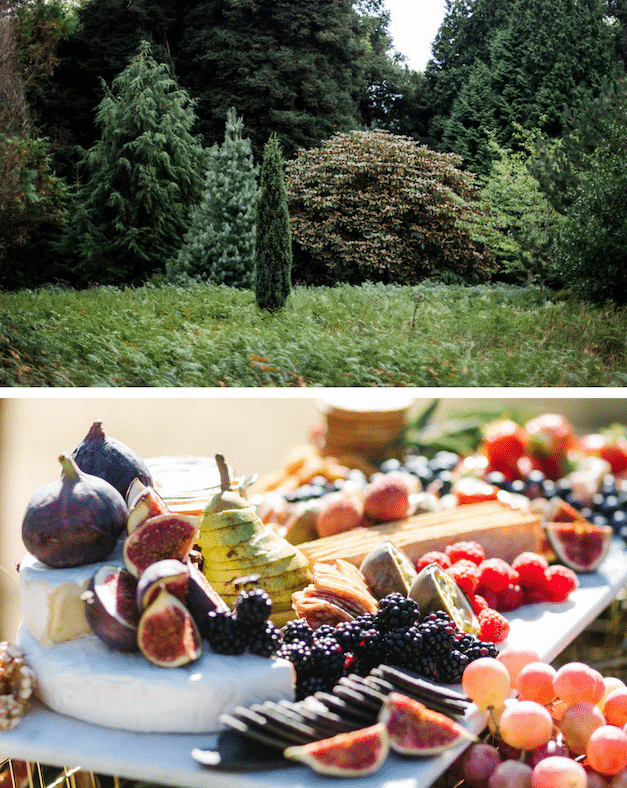 Picnic in the Pinetum