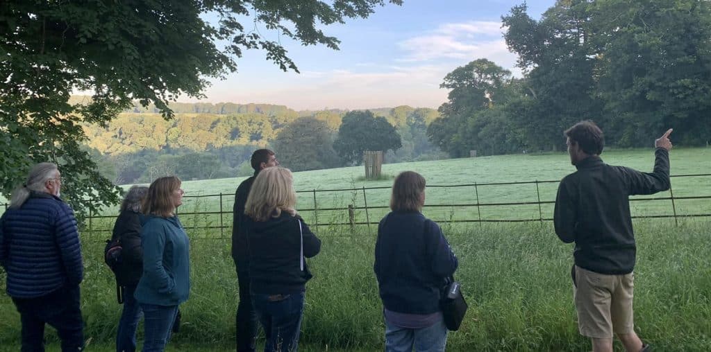Birdwatching in Cornwall