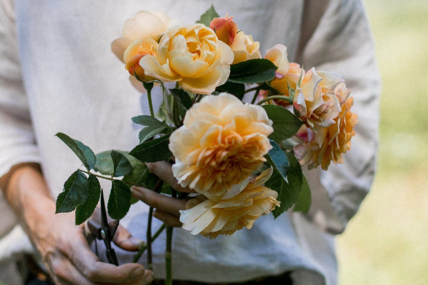 close up of becca holding a bunch of yellow roses